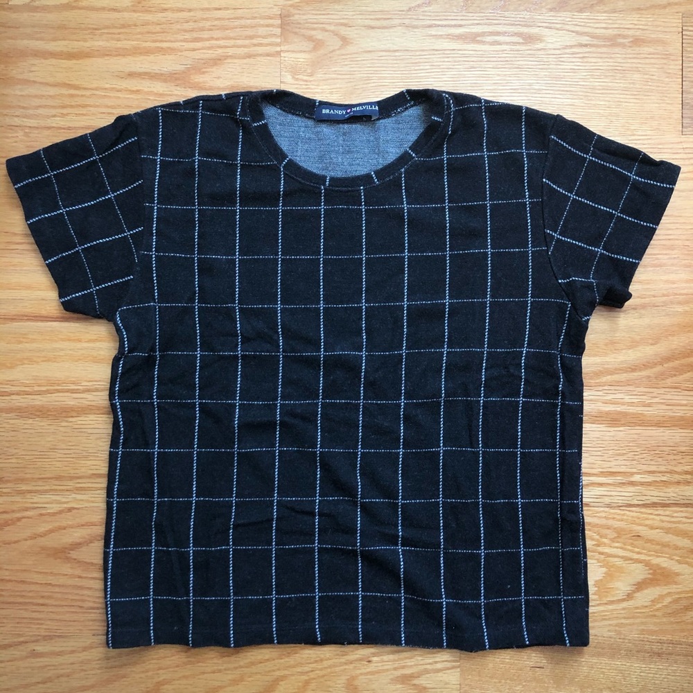 Brandy Melville Crop Top